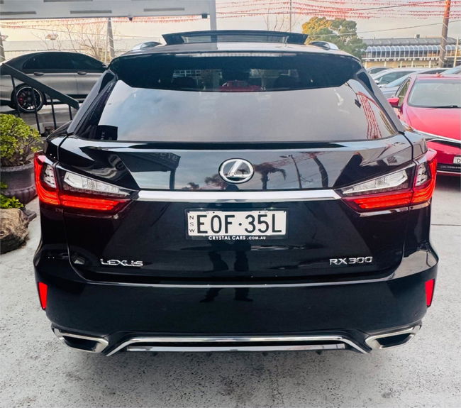 2019 Lexus RX RX300 F Sport Auto